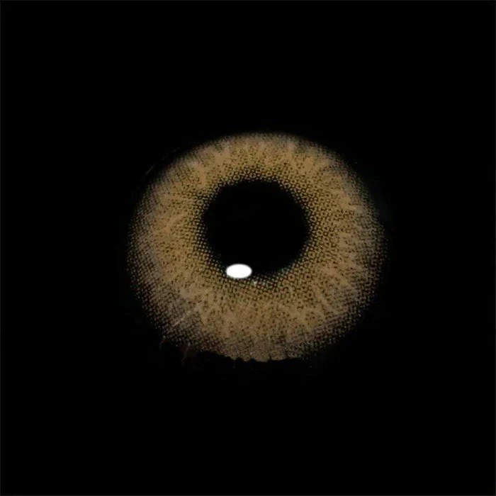 Himalaya Grey Daily Disposable 10Pcs Color Contact Lenses