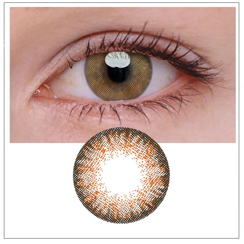 Egypt Brown Color Daily Disposable 10Pcs Contact Lenses 【Prescription】