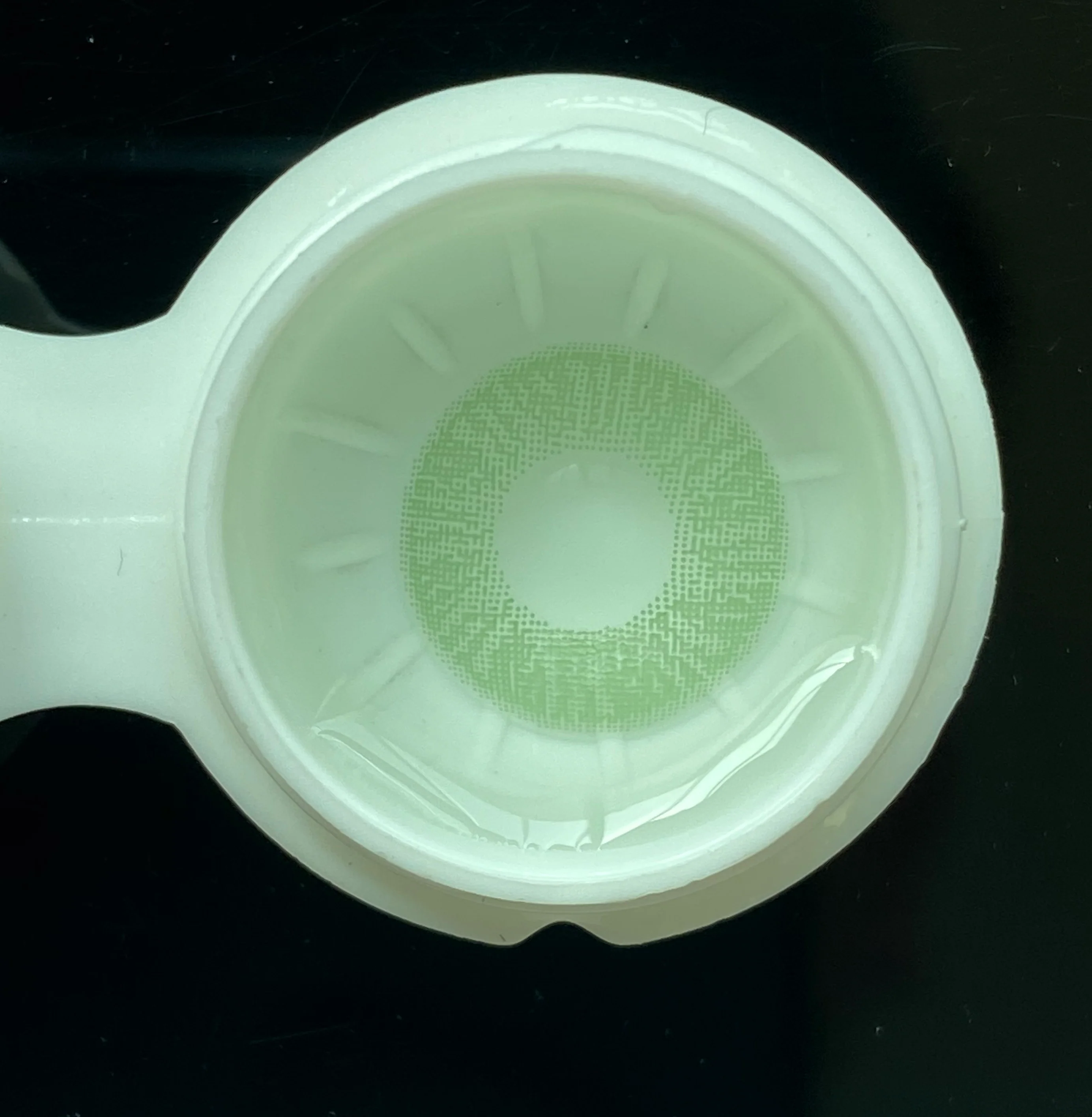 1-Day 10Pcs Lee Bible Green Daily Disposable 10Pcs Color Contact Lenses