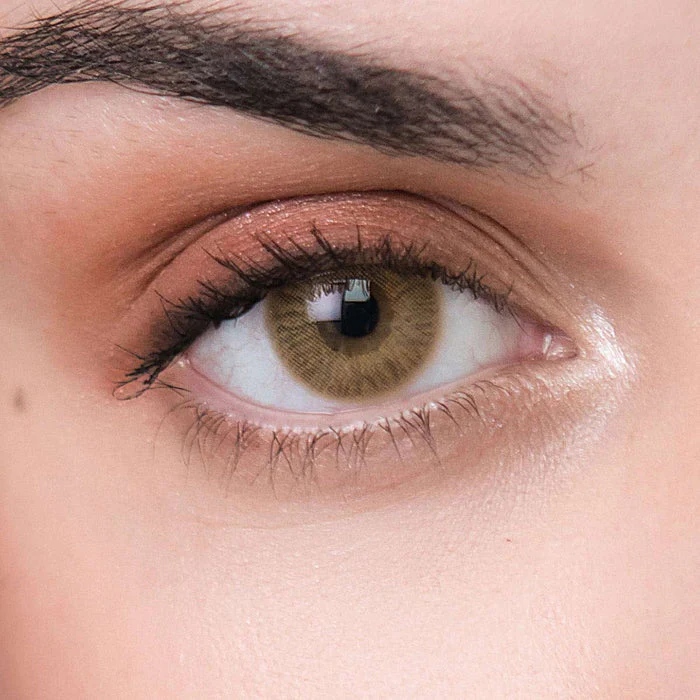 Lee Bible Brown Color Contact Lenses