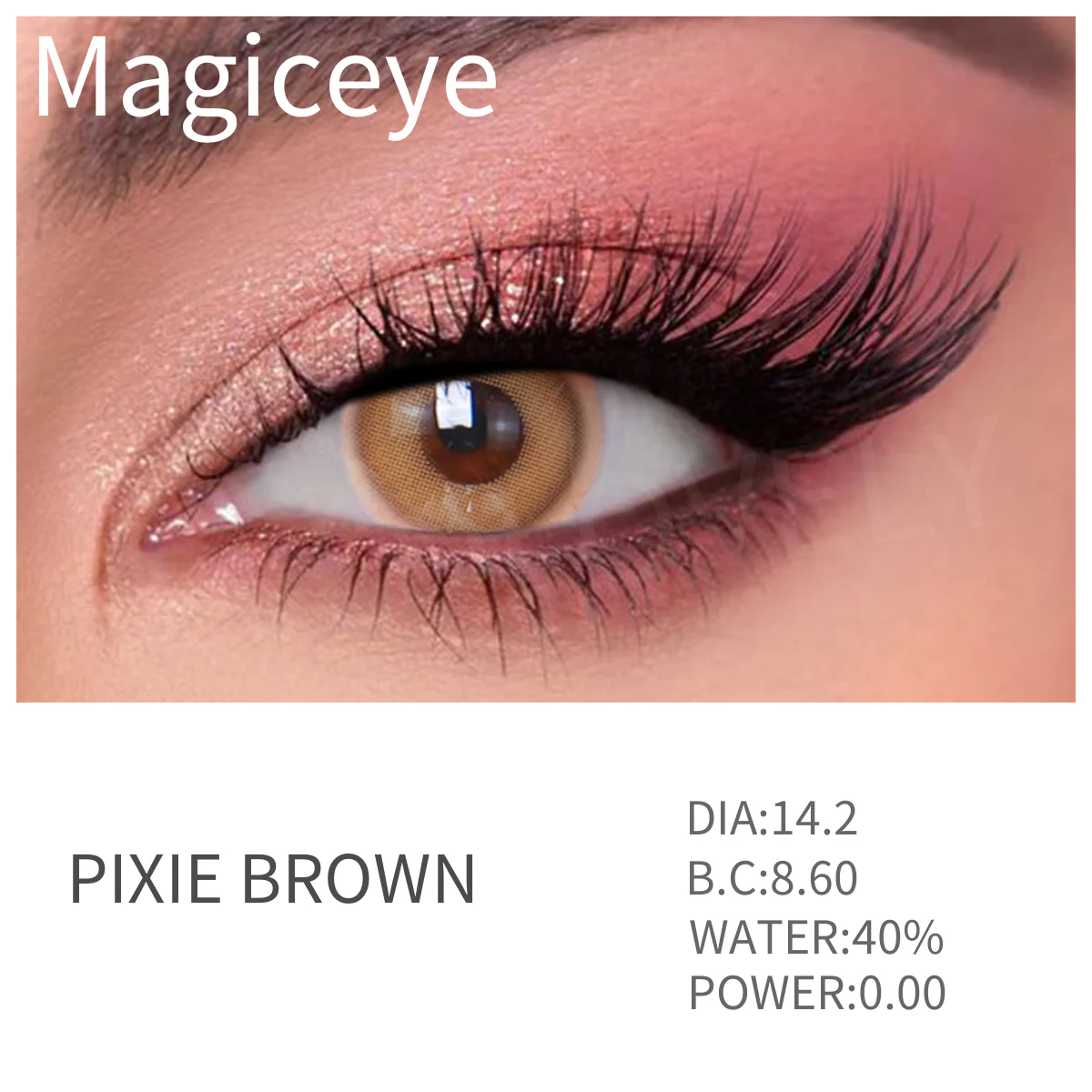 【NEW】Pixie Brown Daily Disposable 10Pcs Color Contact Lenses