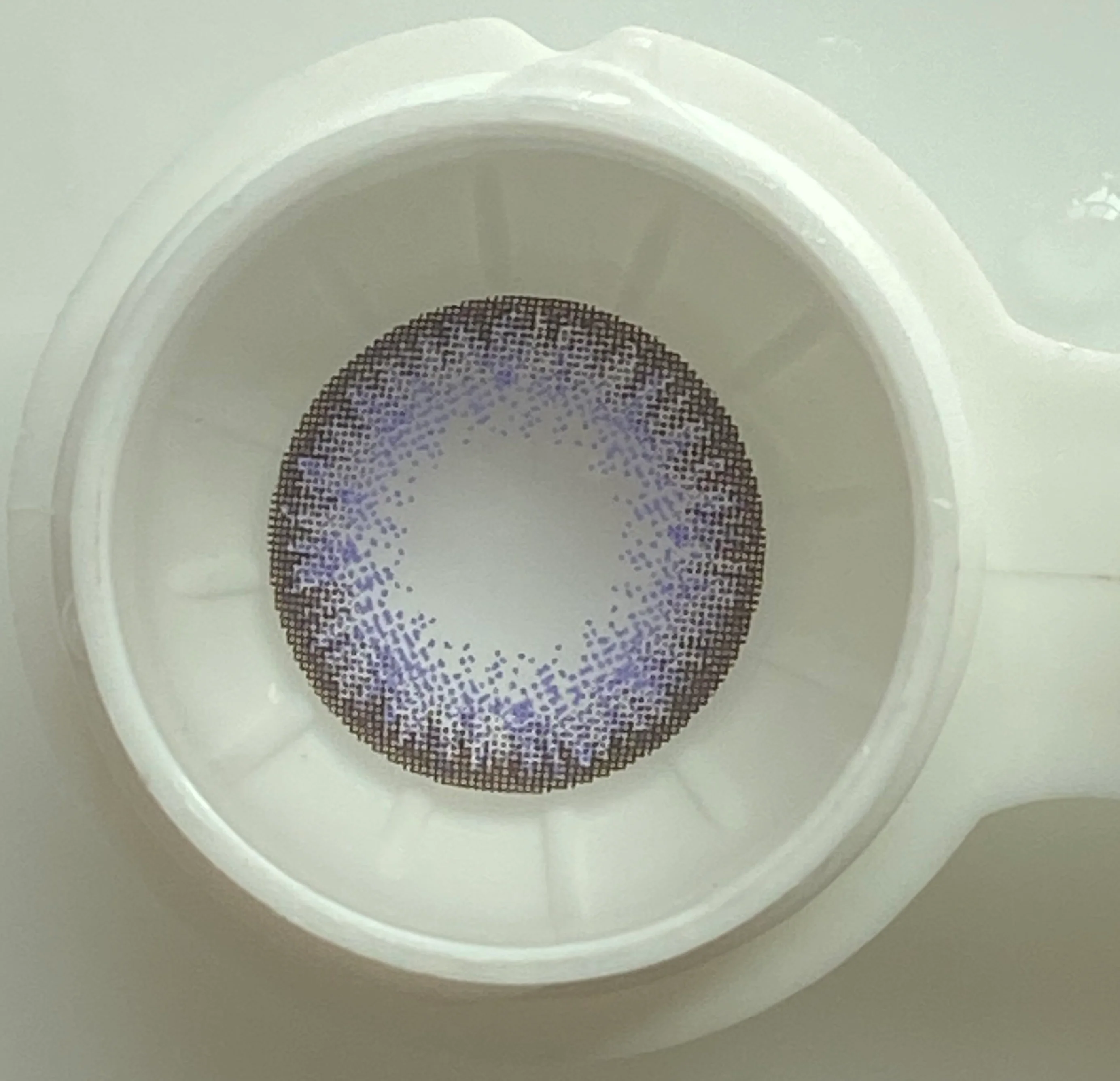 1-Day 10Pcs Egypt Purple Daily Disposable 10Pcs Color Contact Lenses 【Prescription】