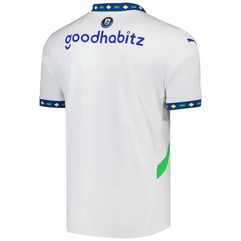 PSV Eindhoven Third Jersey 2024-25