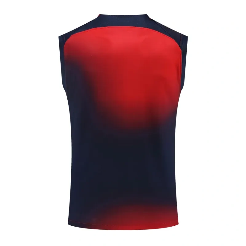 23-24 PSG Pre-Match Vest Jersey