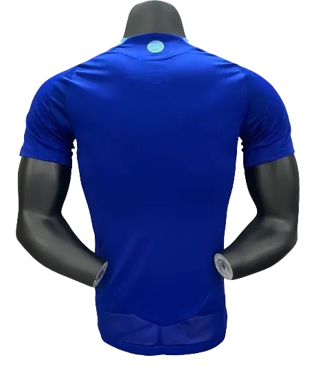 Argentina Copa America 2024 Away Jersey Player Version