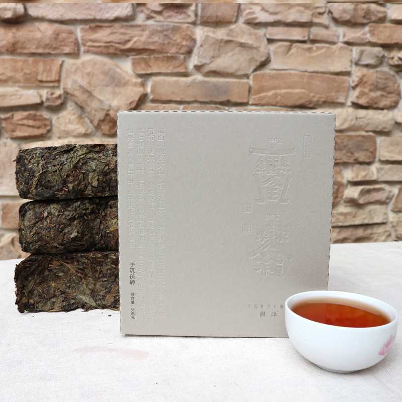 Anhua Dark tea Fuzhuan Brick 500g - Tea-X