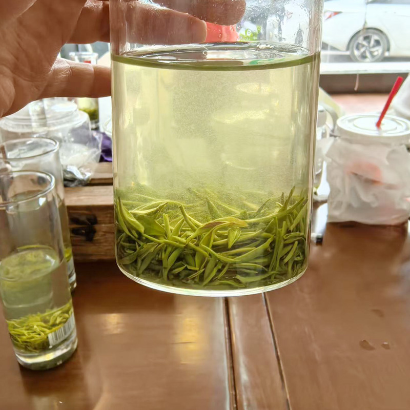 Xinyang Maojian green tea sprouts - Tea-X