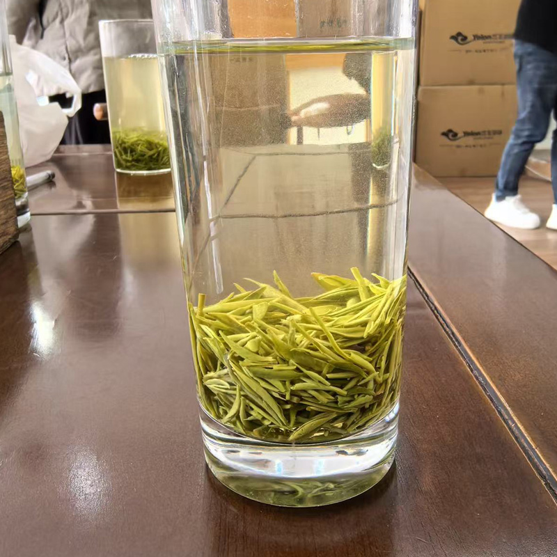 Xinyang Maojian Green tea is 800 meters above sea level - Tea-X