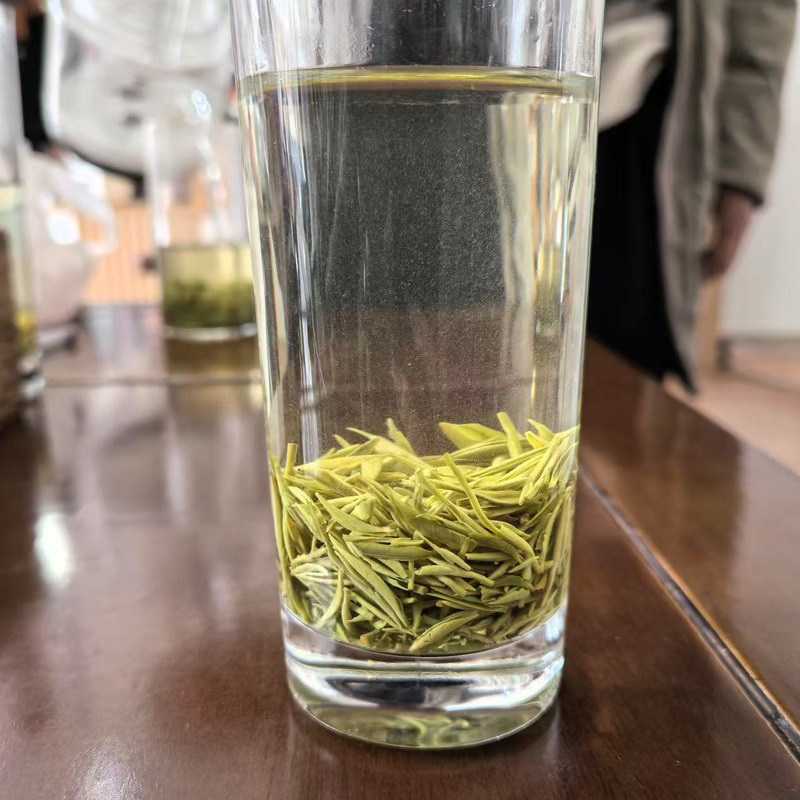 Xinyang Maojian green tea a bud a leaf - Tea-X