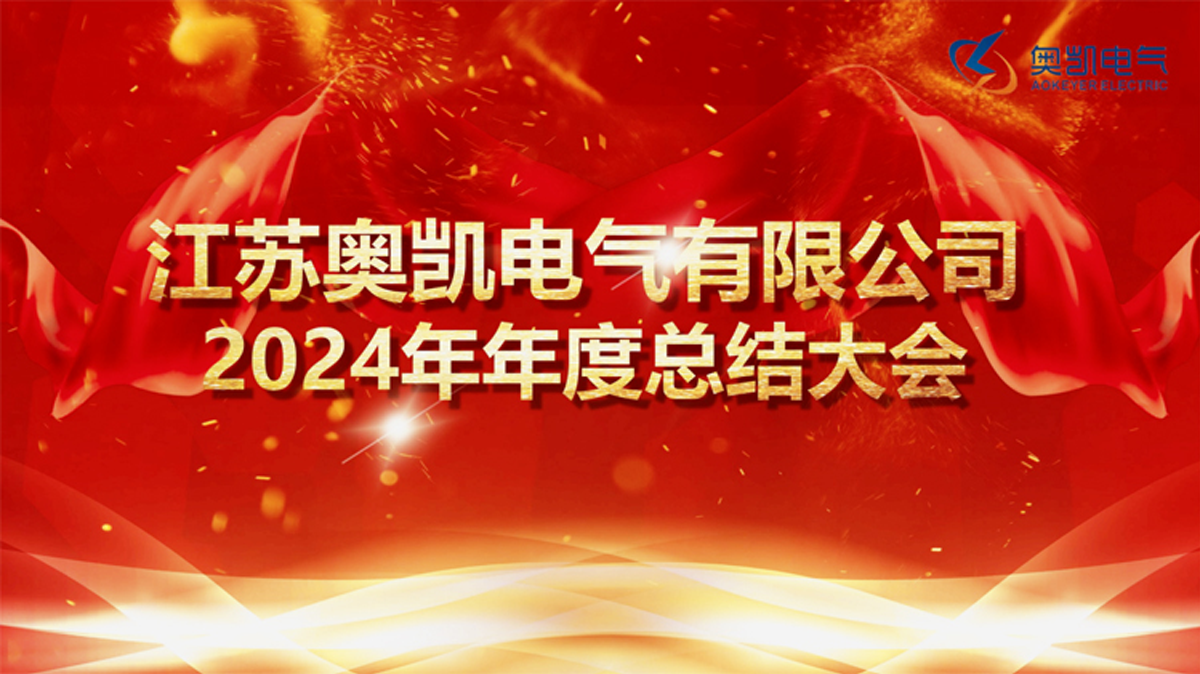 Annual Summary Conference for Employees of Jiangsu Okey Electric in 2024