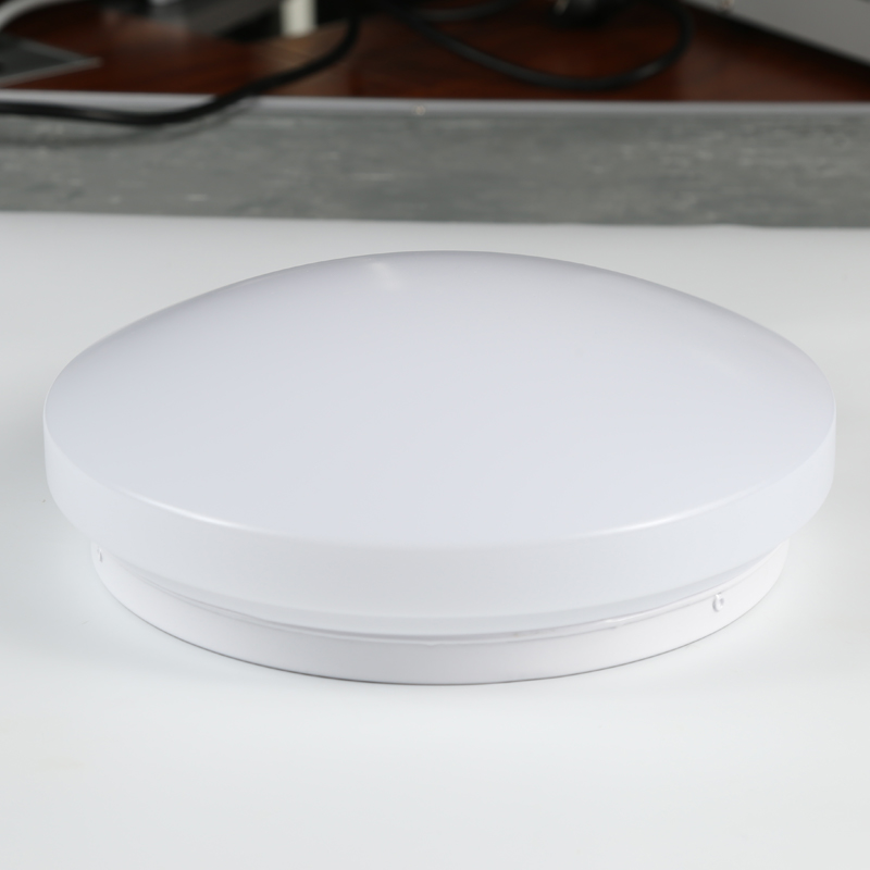 LED induction ceiling light
