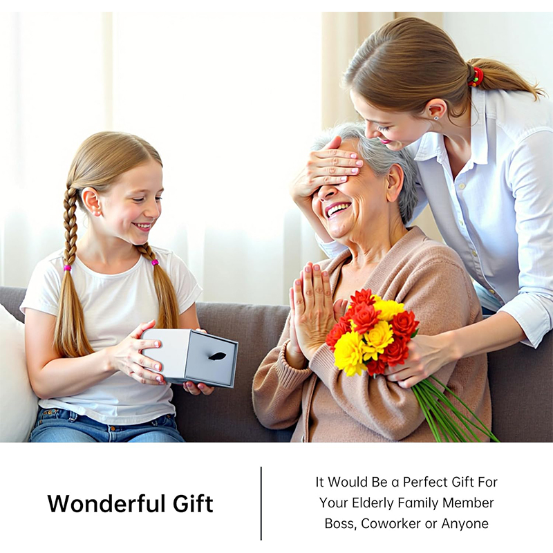 Dandelion 6X Dome/Paperweight Magnifier w/Pouch Table Magnifying