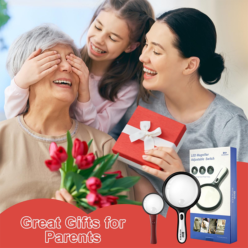 Large Magnifying Glass with Light 5.3 in, 10X 20X Handheld Lighted Magnifier with 4 LEDs for Reading, Checking, Close Work, Elderly & Kids - Black