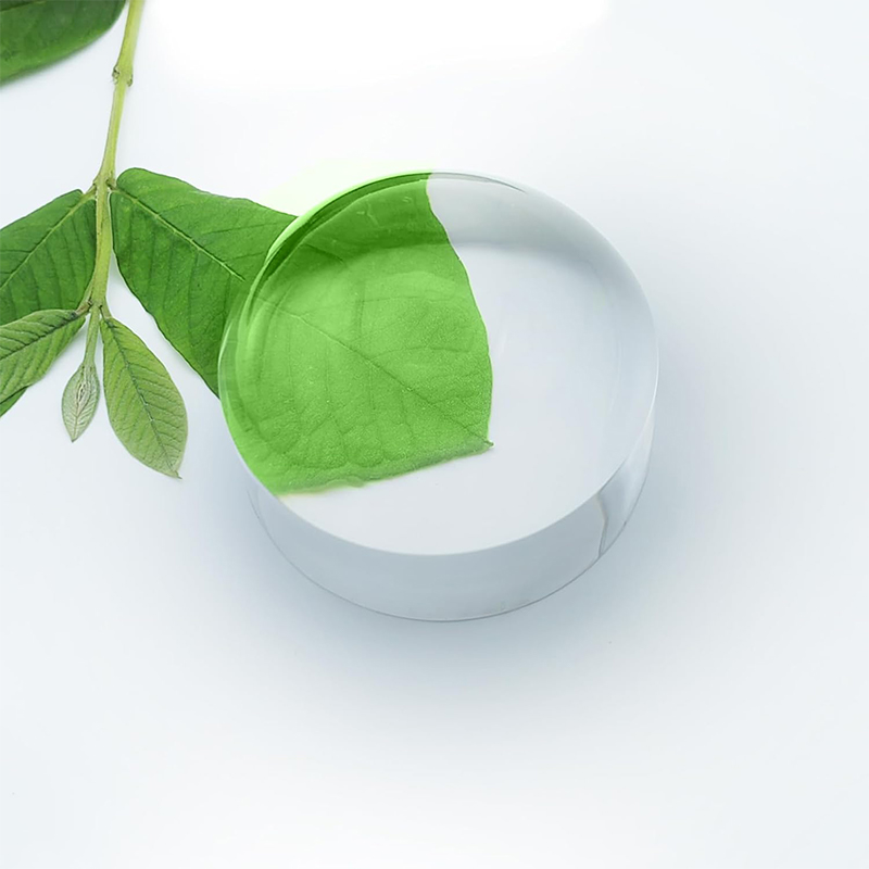 Dandelion 6X Dome/Paperweight Magnifier w/Pouch Table Magnifying