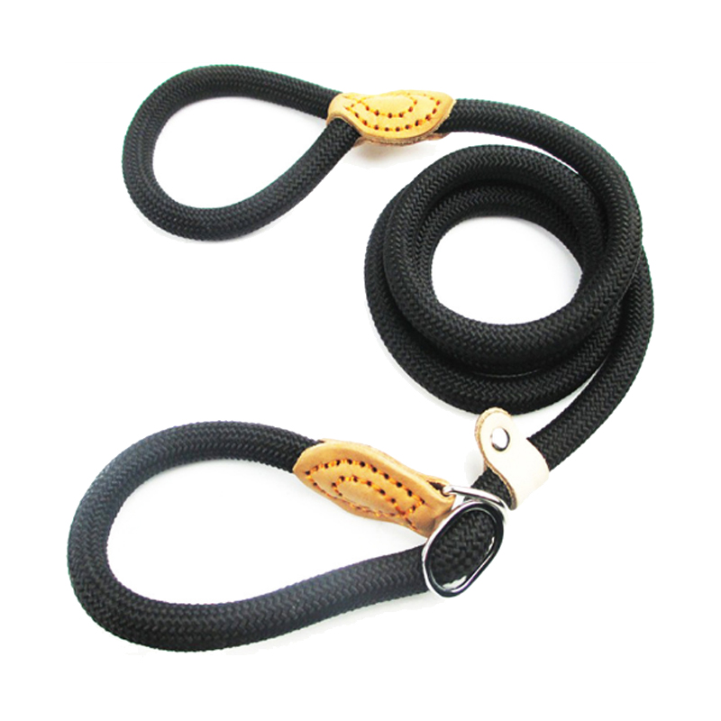 Pet leash