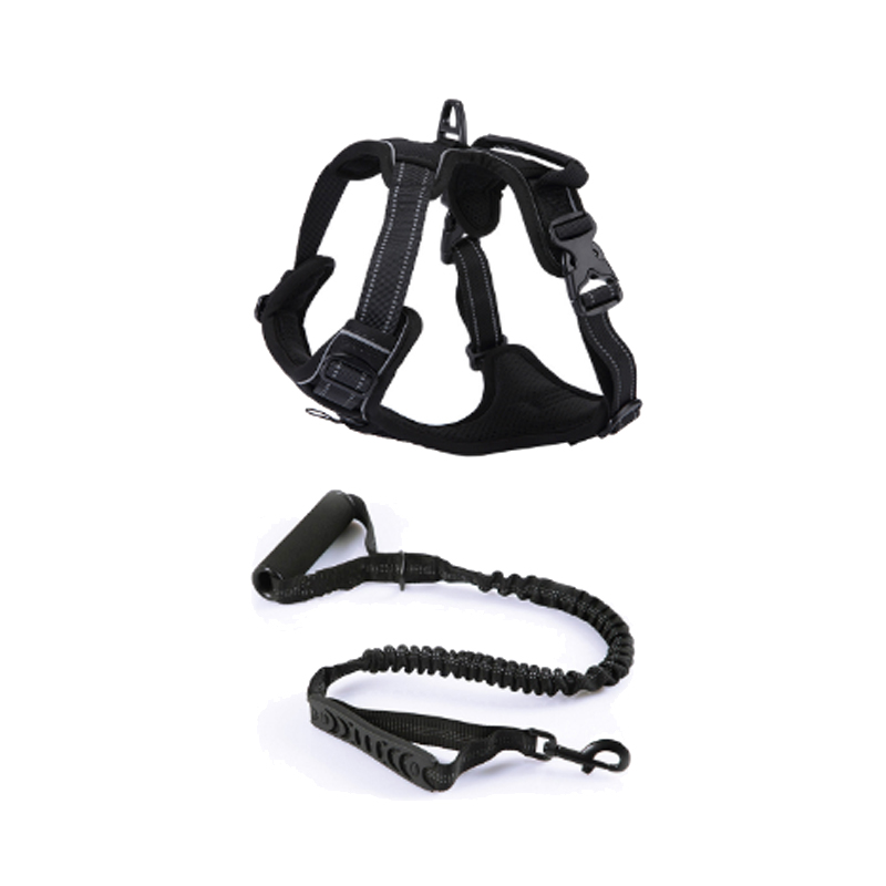Pet leash + chest harness