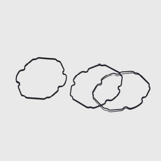 Customized seal ring for clocks and watches