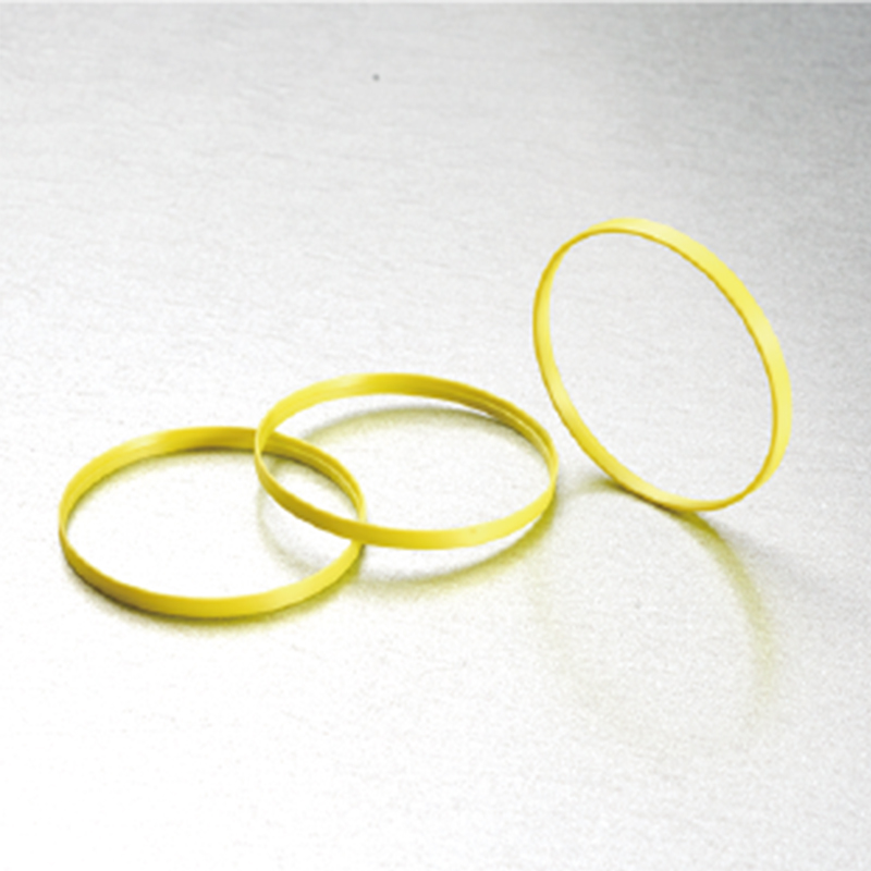 Plastic seal ring for clocks and watches