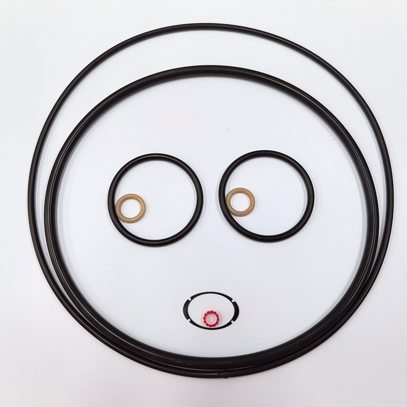 FKM O-Ring Sealing