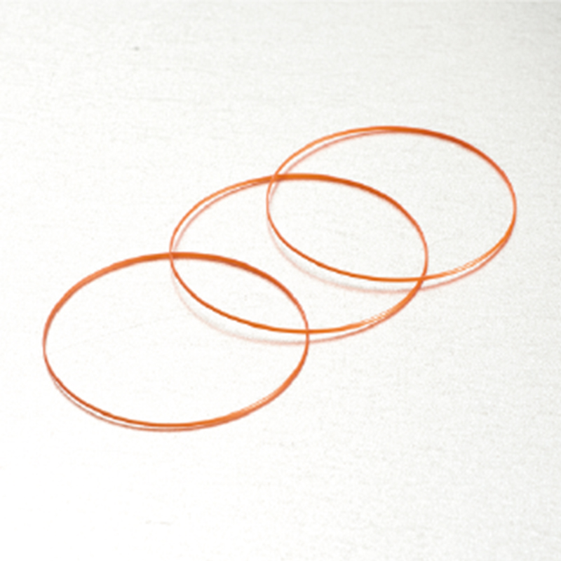 Plastic seal ring for clocks and watches
