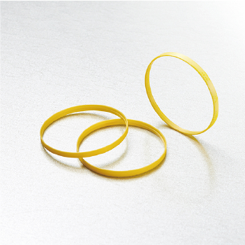Plastic seal ring for clocks and watches