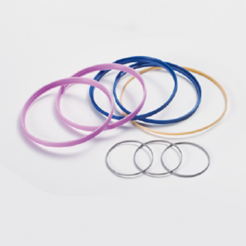 Plastic seal ring for clocks and watches