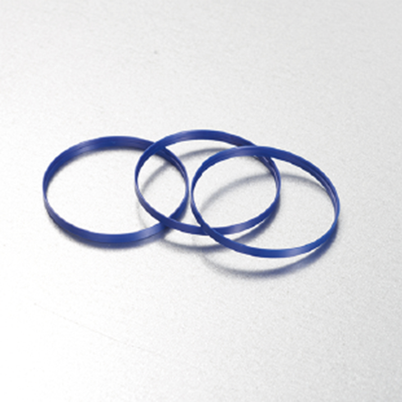 Plastic seal ring for clocks and watches