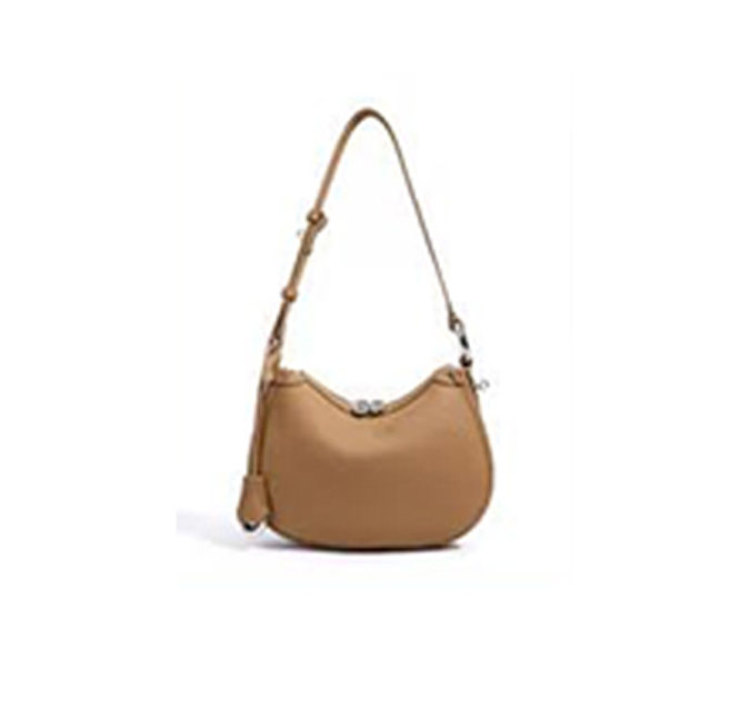 Ladies Handbag