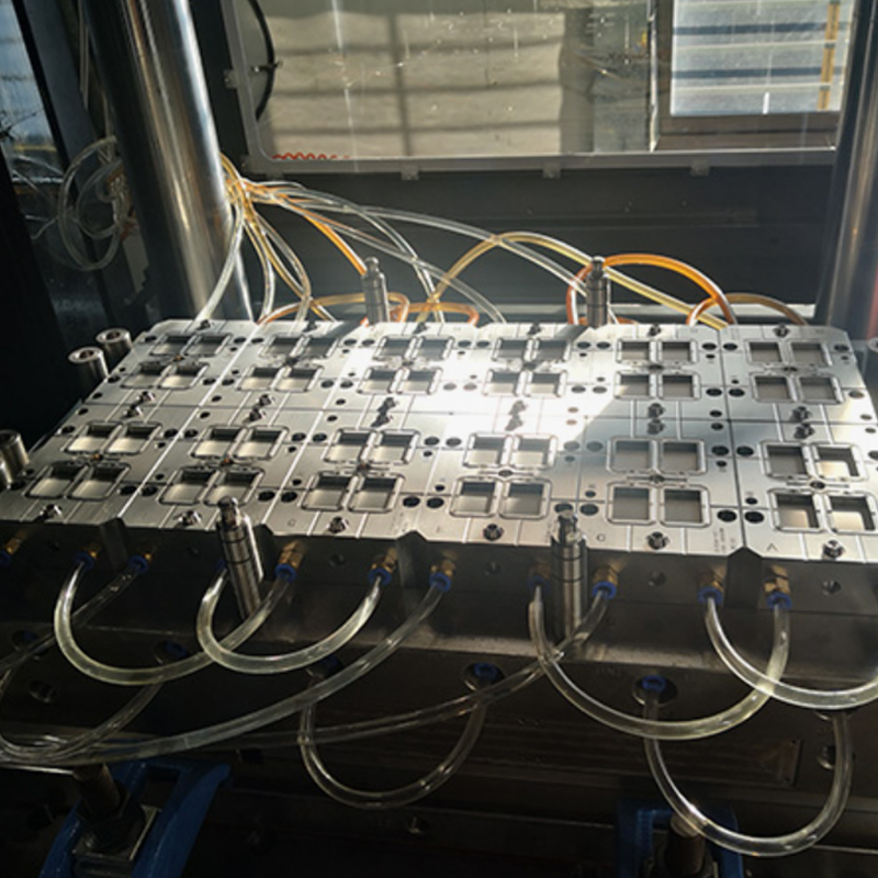 Multi-cavity mould