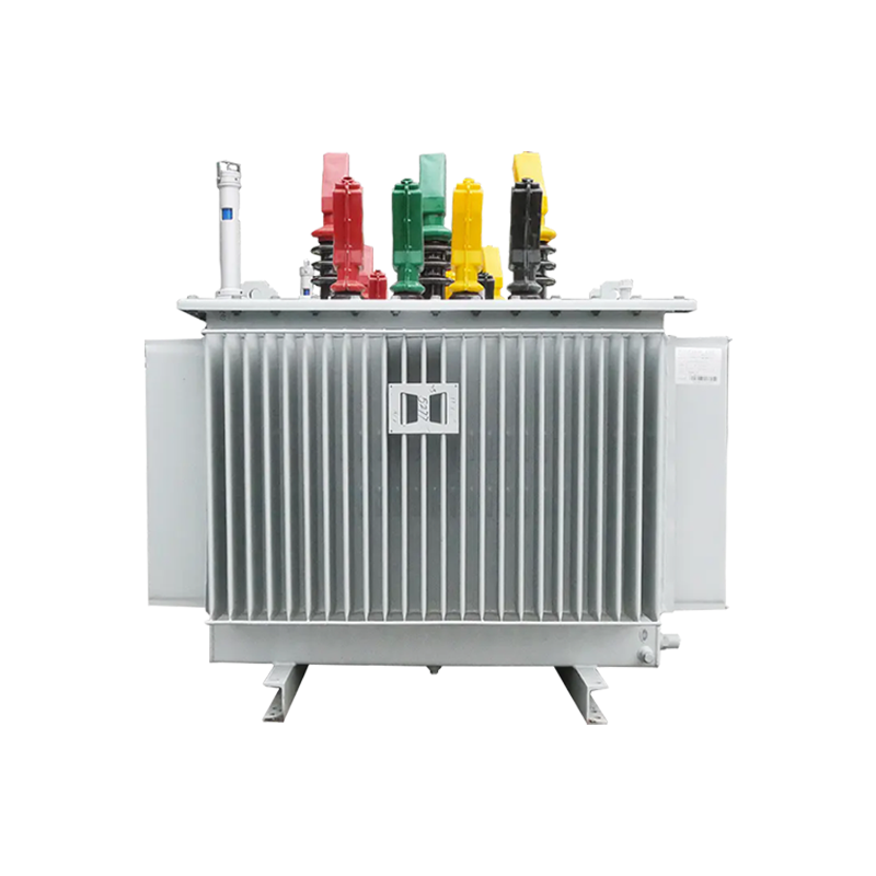 Oil-immersed Power Transformer