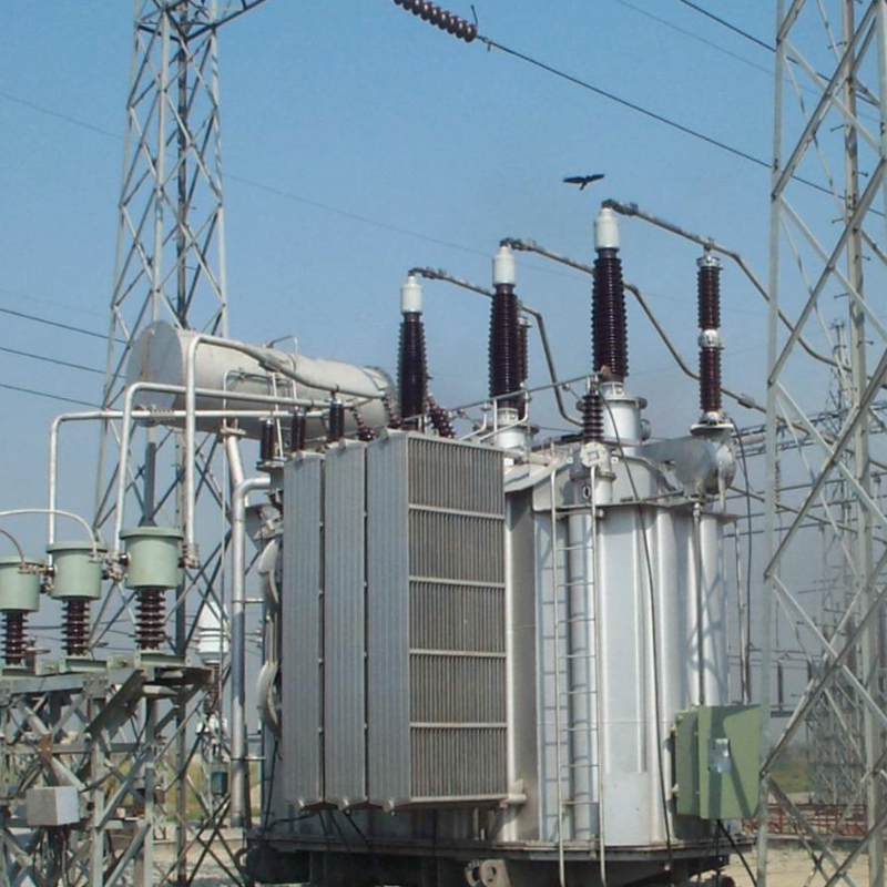 Nepal National Power SFZ11-63000/132