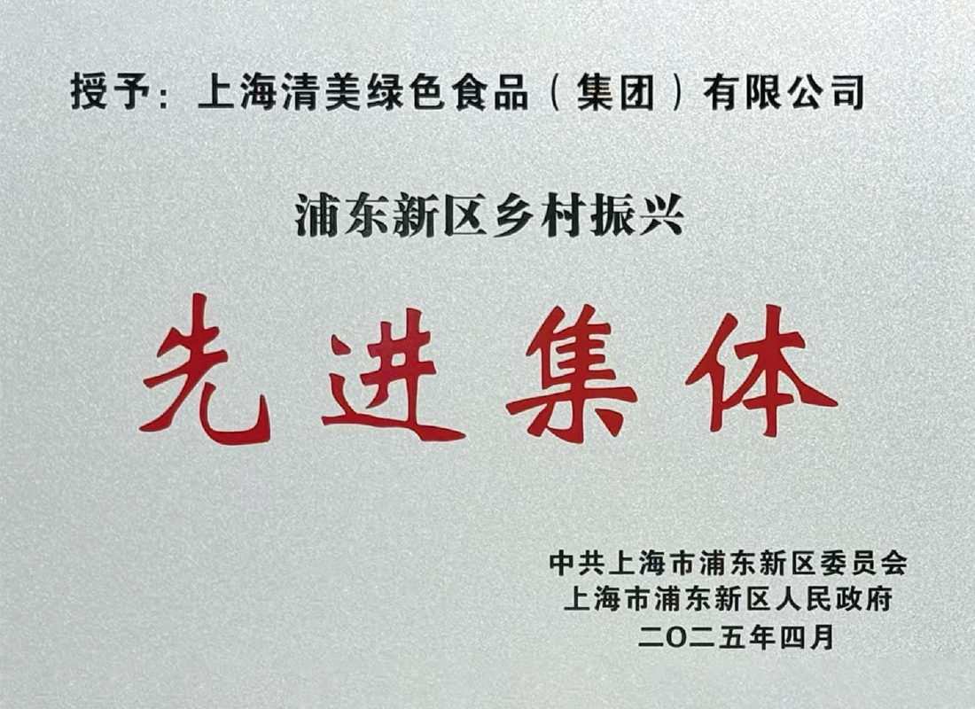 Tramy Group Explores Pudong Rural Revitalization Model, Awarded Advanced Collective