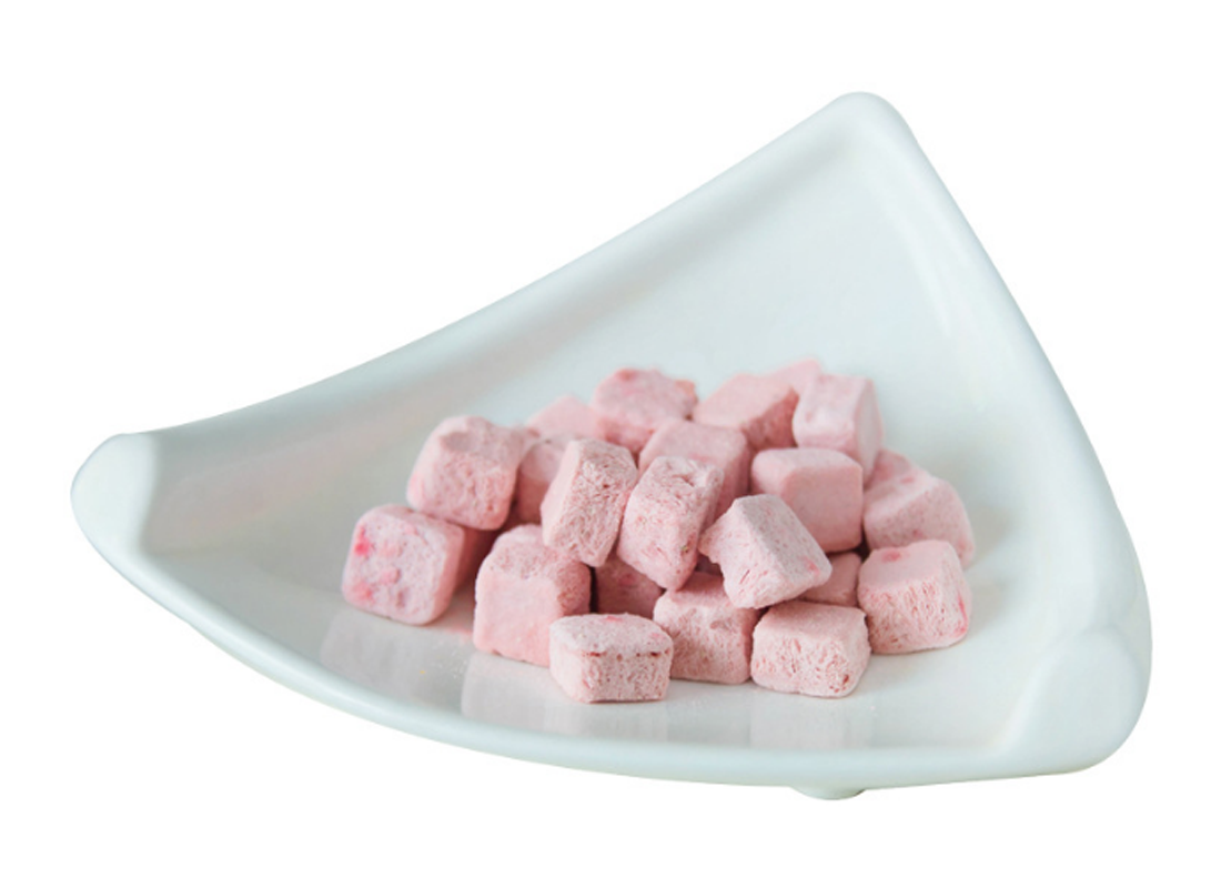 Freeze-Dried Yogurt Bits OEM/ODM