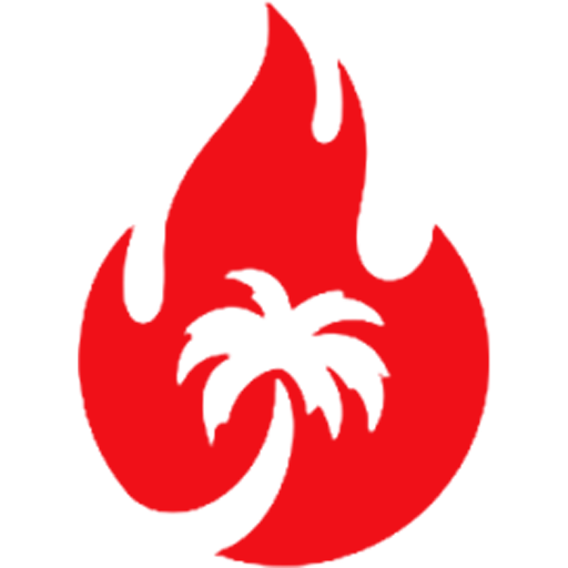 instant-ignite-charcoal.com favicon