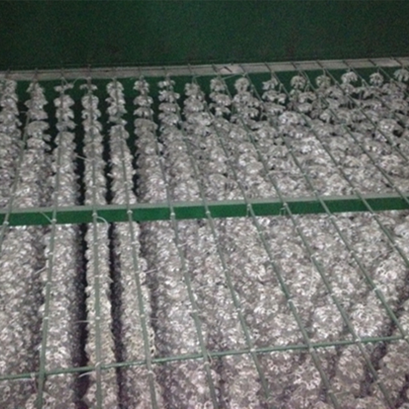 Successful Application  Biological Treatment Technology