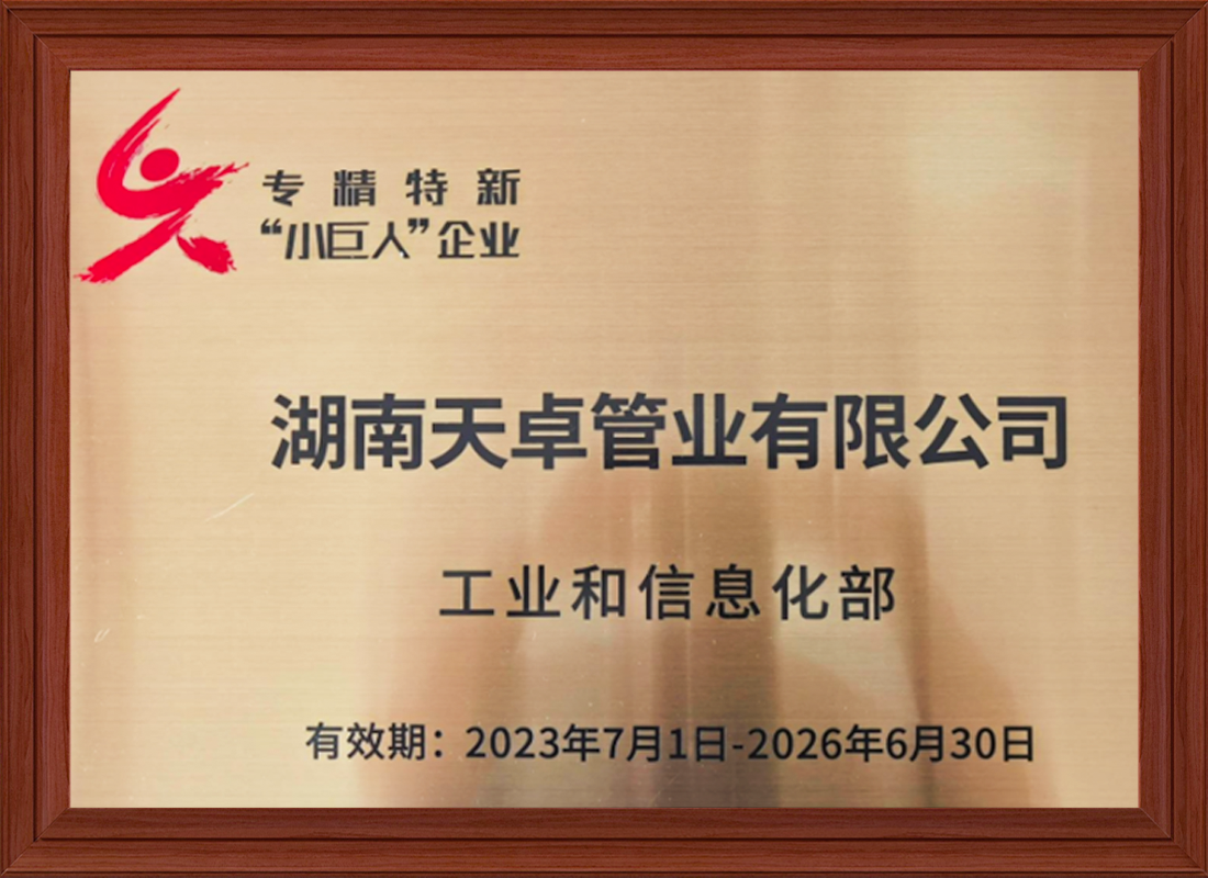 Hunan Topzone Pipe Industry Co., Ltd. Recognized as National-Level 