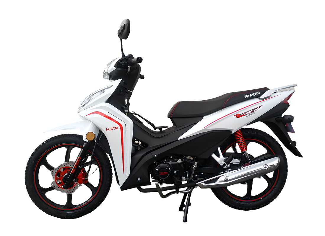 Cradle Frame Motorcycle OEM/ODM