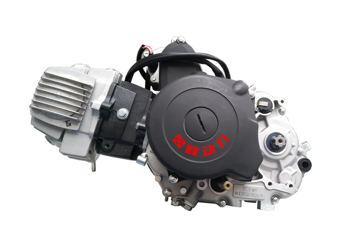 110CC Dual Clutch Motorycycle Engine OEM/ODM