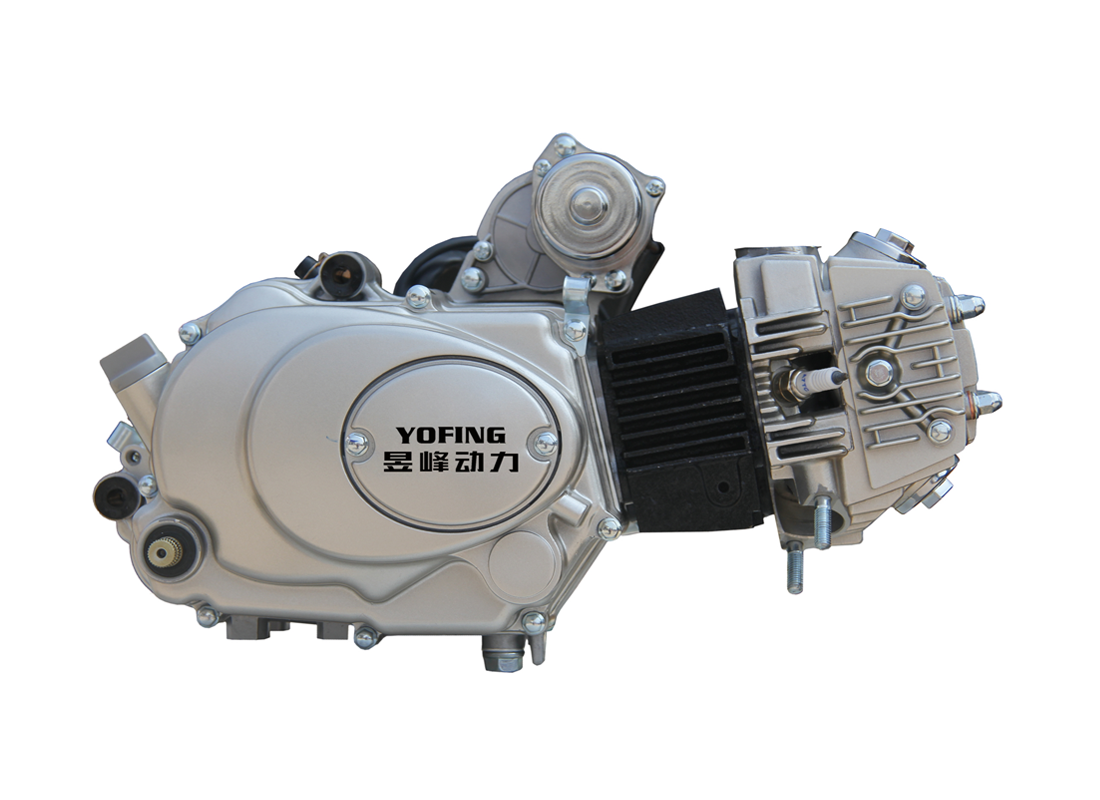 110CC Motorycycle Engine OEM/ODM