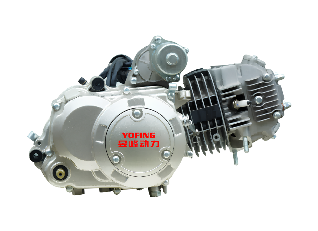 W135 Motorycycle Engine OEM/ODM