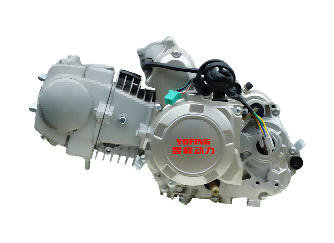 W135 Motorycycle Engine OEM/ODM