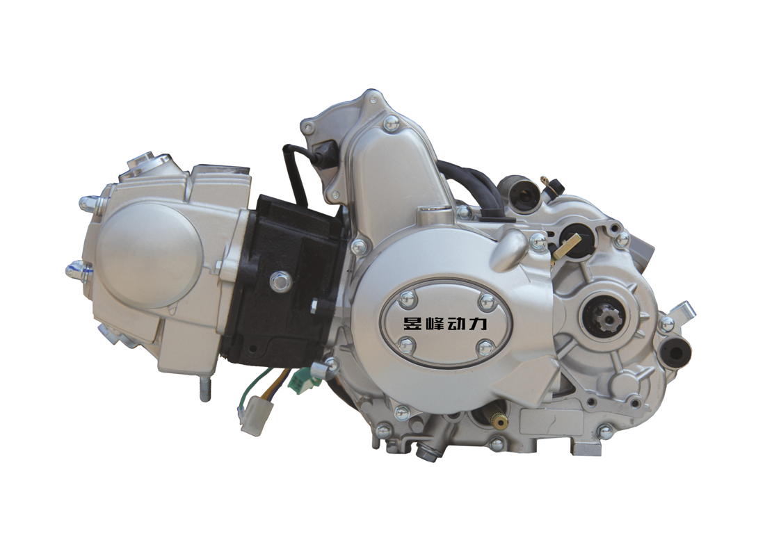 110CC Motorycycle Engine OEM/ODM