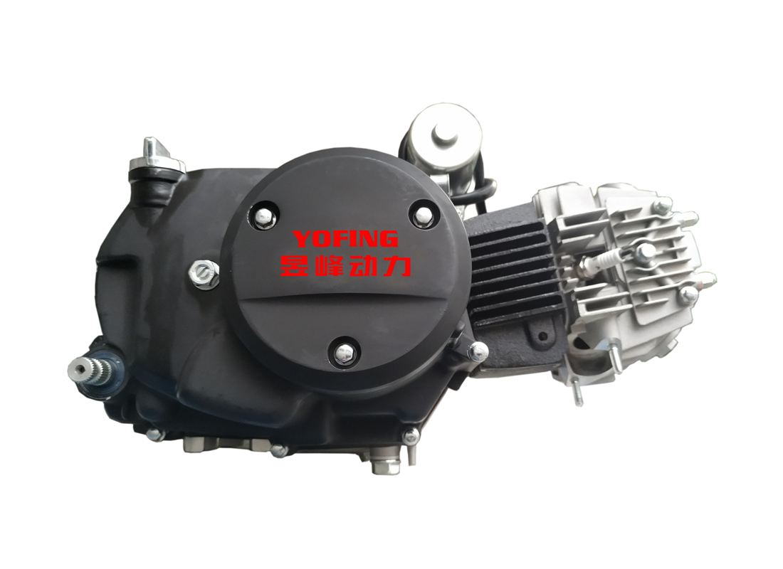 110CC Dual Clutch Motorycycle Engine OEM/ODM