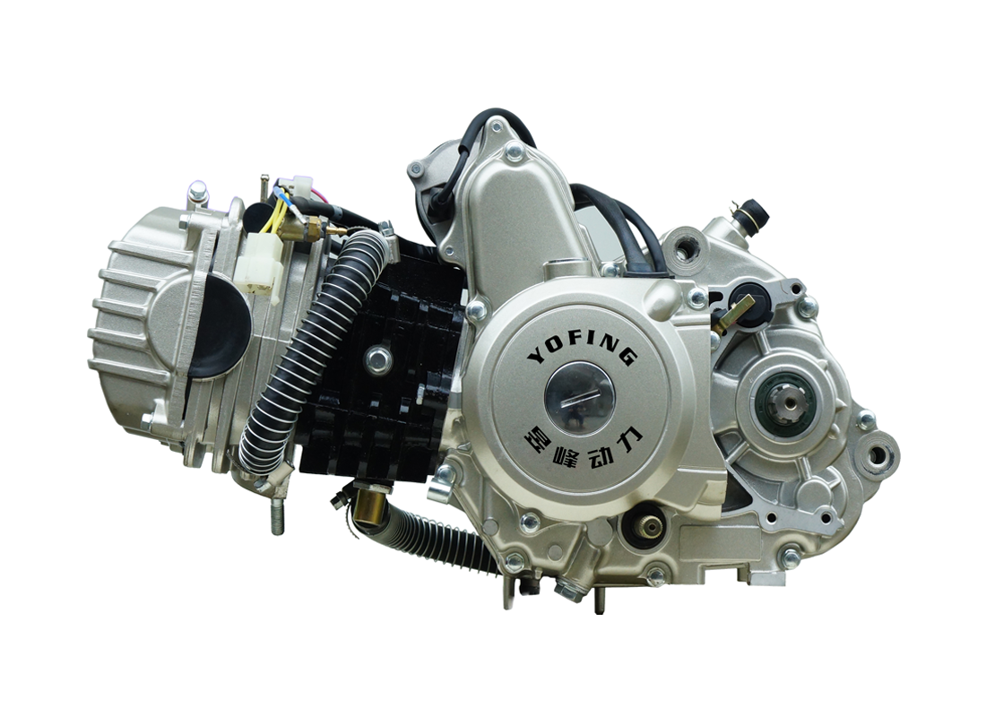 FW150 Motorycycle Engine OEM/ODM