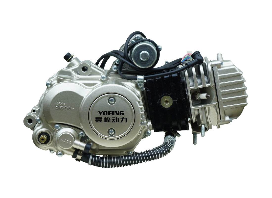FW150 Motorycycle Engine OEM/ODM