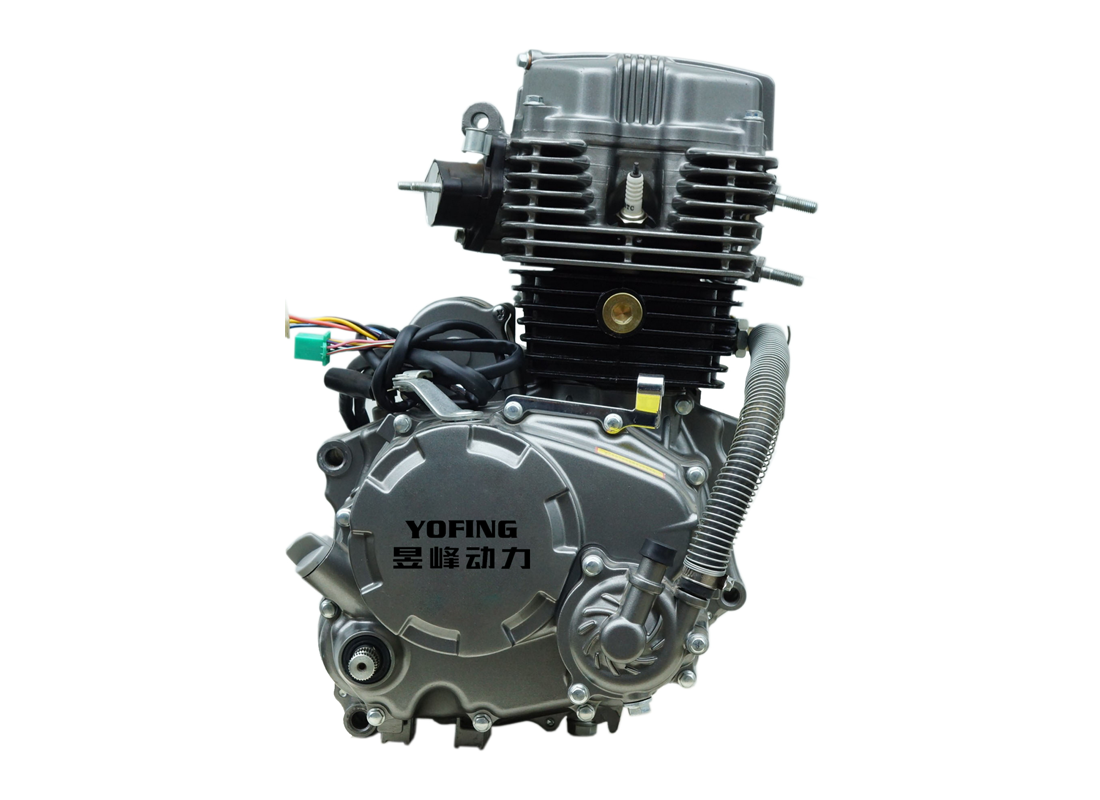 F150B F175B F200B Water Cooling Tricycle Engine OEM/ODM