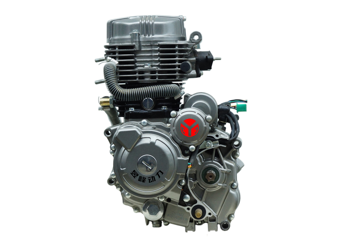 F150B F175B F200B Water Cooling Tricycle Engine OEM/ODM