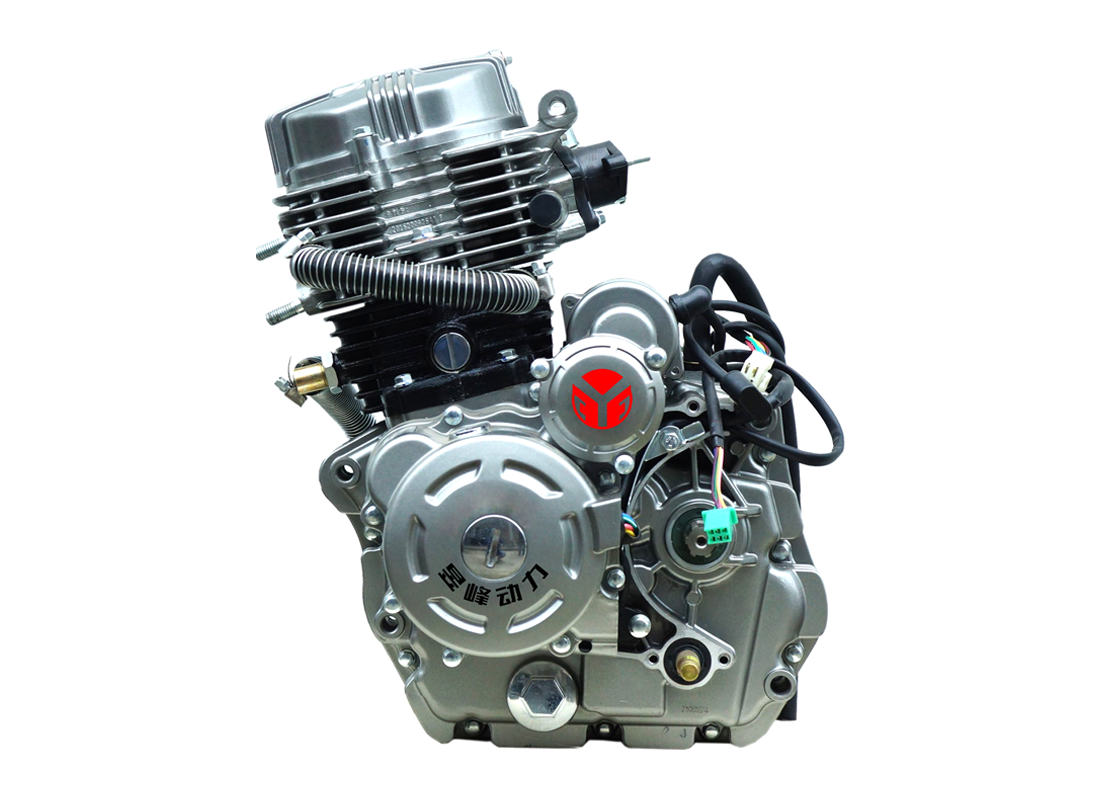 F150B F175B F200B Water Cooling Tricycle Engine OEM/ODM