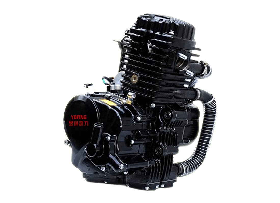 F300 Water Cooling Tricycle Engine OEM/ODM