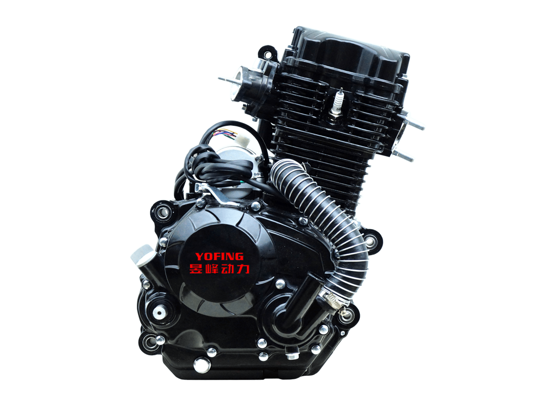 Z250 Water Cooling Tricycle Engine OEM/ODM